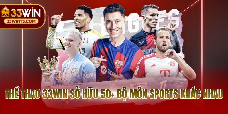 Thể thao 33WIN 5 Thể thao 33WIN sở hữu 50+ bộ môn sports khác nhau