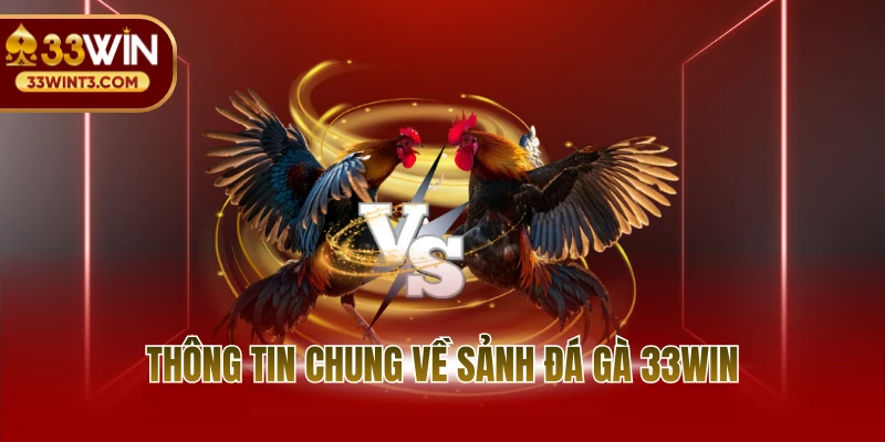 Thông tin chung về sảnh đá gà 33WIN